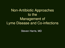 Ppt Non Antibiotic Approaches To The Management Of Lyme Disease And Co Infections Powerpoint Presentation Id 2978662