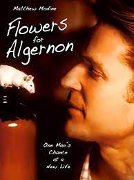 We did not find results for: Flowers For Algernon Tv Movie 2000 Imdb