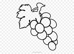 Buy gambar mewarna buah print posters on wallpart. Anggur Buku Mewarnai Gambar Gambar Png