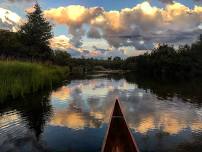 AuSable River Festival