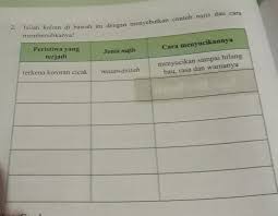 Check spelling or type a new query. Isilah Kolom Dibawah Ini Dengan Menyebutkan Contoh Najis Dan Cara Membersihkannya Tolong Dijawab Brainly Co Id