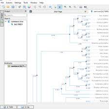 10 Best Free Phylogenetic Tree Viewer Software For Windows