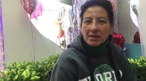 19 Pelham Bay Stock Videos, Footage, & 4K Video Clips