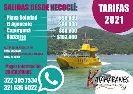 Buchen sie online ihre hotels in capurganá! Como Llegar A Capurgana Trigana Aereos Terrestres Y Maritimos