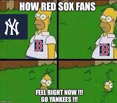 Yankees vs red sox mlb rivalry meme battle vote now. Homer Simpson In Bush Large Imgflip