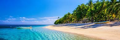 Cruises visiting Dravuni 2025-2026 ...