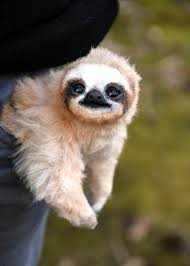 Small Sloth Etsy In 2021 Cute Baby Animals Sloth Felt Animals