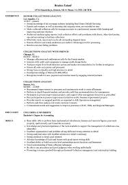 Employers want to know about your ability to successfully meet the job requirements and objectives. Collections Analyst Resume Samples Velvet Jobs
