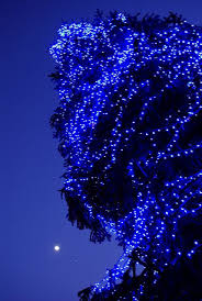 Nadal A Vic Feeling Blue Blue Christmas Blue Wallpapers
