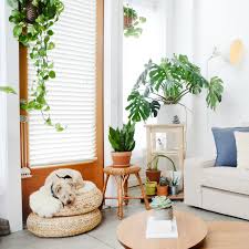 This reversible sectional has a hidden storage space in the ottoman, which makes. 10 Best Small Sleeper Sofas For Apartments Tight Spaces Apartment Therapy