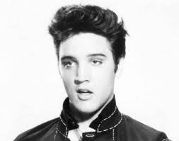Elvis Presley. Erfenis van een fenomeen va Edwin Wendt