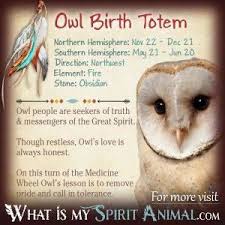 Astrology Symbols The Owl Animal Symbol Owl Astrology Symbols Astrology Dates November 23 December 21 Wes Dier Spirituele Gidsen Sjamanisme Totempalen