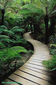 How I Successfuly Organized My Very Own Nature Wallpaper For Home Screen Nature Wallpaper For Home Screen Pathways Nature Wallpaper Beautiful Nature