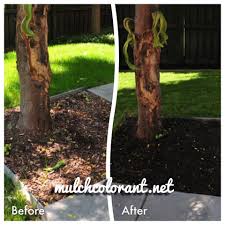 We did not find results for: Endurant Mulch Dye