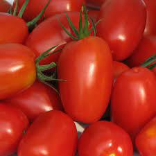Cracking can be a problem for other grape tomatoes, but not the juliet variety; Juliet Tomato Plants For Sale Free Shipping