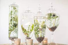 Apr 20, 2018 · spray bottles can be useful for very large terrariums and dry climates to give extra moisture, but a light spritz does not promote healthy root growth. Make A Water Terrarium Flower Arrangement Hgtv