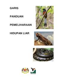 Dari berbagai macan jenis burung yang ada di bawah ini lengkap dengan suara masteran, pancingan, suara lomba, suara terapi, jantan, betina, gacor, suara anakan burung dan berbagai jenis burung. Garis Panduan Pemeliharaan Hidupan Liar