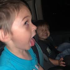 Maddison Hall (@maddisonhall48) · Instagram photos and Reels