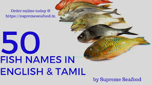 Fish Names In English Tamil 50 Varieties By Supreme Seafood