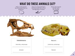 Worksheet Dinosaur Third Grade Science Draw A Box