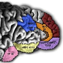 Empathic Accuracy Wikipedia