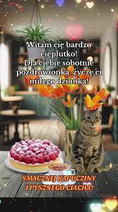 Obrazek dodany przez użytkowniczkę