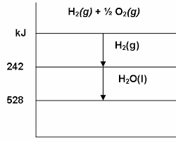 Pada umumnya, reaksi eliminasi mengikuti aturan zaitsev. Https Pdfcoffee Com Download Half Page Pdf Free Html