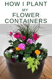 We did not find results for: How To Plant A Front Door Flower Planter Container Garden Momcrieff