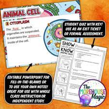 Check spelling or type a new query. Animal Cells And Organelles Doodle Notes Science Doodle Notes Tpt