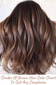 Check spelling or type a new query. Shades Of Brown Hair Color Chart To Suit Any Complexion