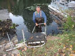 Dig or pull out the entire plant to keep it from growing back. How To Remove Lake And Pond Muck And Weeds Diy Youtube