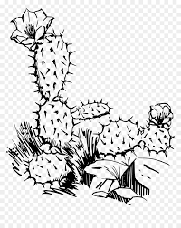 Scopri ricette, idee per la casa, consigli di stile e altre idee da provare. How To Set Use Cactus Svg Vector Png Download Black And White Cactus Clip Art Transparent Png Vhv
