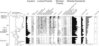 Image result for Scytopetalum pierreanum