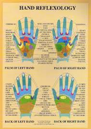 Hand Reflexology A4 Chart