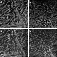 Image result for Blendtone Gray 1983 Hussmann