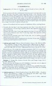 Image result for Behniaceae