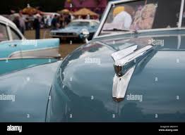 Image result for Light Green Texture 1950 Chrysler
