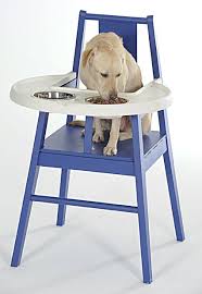 Archives Horticulture Of Christmas Past Best Baby High Chair High Chair Ikea For Pets