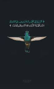 Pin By Ryouf Saad On Priere Beautiful Quran Quotes Quran Quran Verses