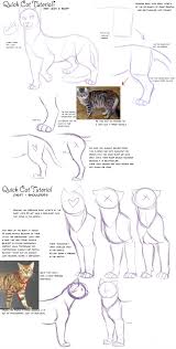 Cat Anatomy Drawing At Paintingvalley Com Explore Collection Of Cat Anatomy Drawing Here presented 52+ cat anatomy for drawing images for free to download, print or share. cat anatomy drawing at paintingvalley