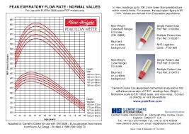 20 beautiful peak flow meter chart