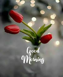 Good morning to you fair and gracious daughter. Good Morning Pictures Beautiful Pictures