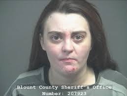 HARRIS, BRIANNA ELAINE Charges: DRUG/RECOVERY COURT SANCTIONS DRUG/RECOVERY  COURT SANCTIONS This information and more is available  https://apps.myocv.com/share/a95737804