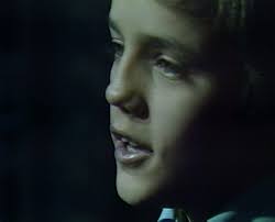 Episode 913/914: Death and Taxidermy