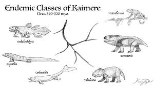 Image result for Dignathia