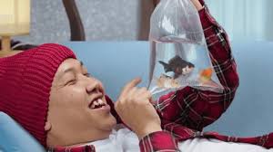 255 Child Playing Plastic Fish Videos