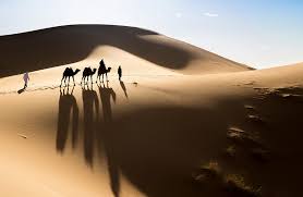 Low Angle View Of Sculptures Of Camel … – License Image – 10299542 ❘  Lookphotos