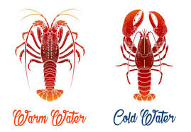 The Differences To Know Between Maine Canadian Lobsters