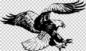 Maybe you would like to learn more about one of these? Bald Eagle Black And White Hawk Eagle Black And White Png Clipart Animal Animals Art Beak