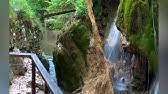 Cascada bigăr, prabusit, romsilva publicat in categoriile: Oazd36zggiplsm